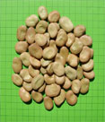Broad-Beans-Whole-Yellow-Brown3@