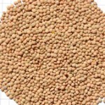 Lentils-Whole-Red
